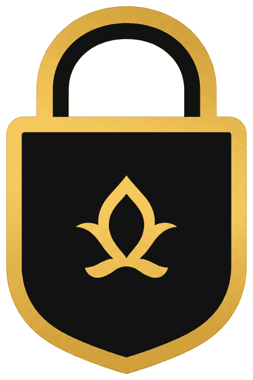 private and secure icon