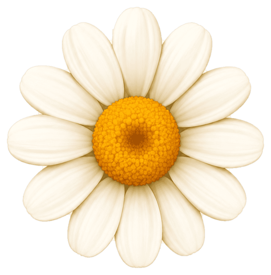 Golden Daisy flower icon